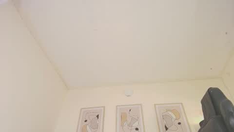 Snapshot of alex4diaz chatting on 01.29.25 Alexa online show from 01.29.25