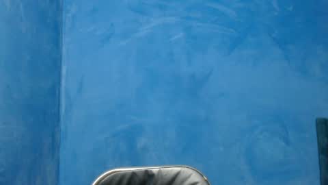 Alex online show from 04.04.26