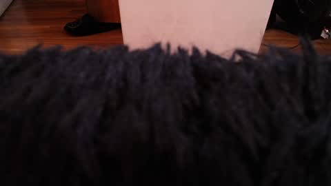 Alexa Moon online show from 12.07.24