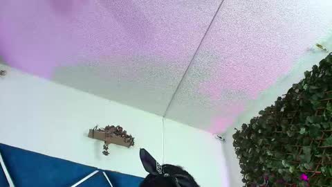 Alexa online show from 03.27.26