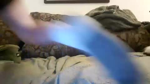 Snapshot of alexinside_you chatting on 11.08.25 Alexinside you online show from 11.08.25