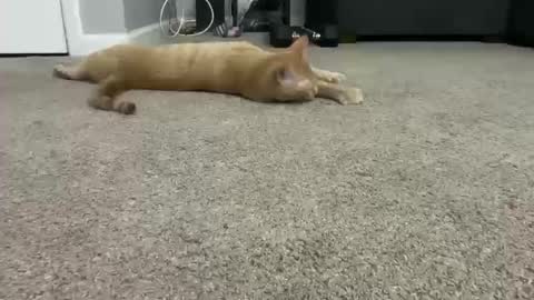 alexispaige06 online show from 10.11.25