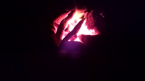 AlexThyCat online show from 09.28.25