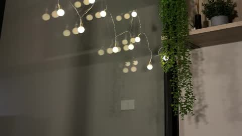 Alex online show from 01.23.25