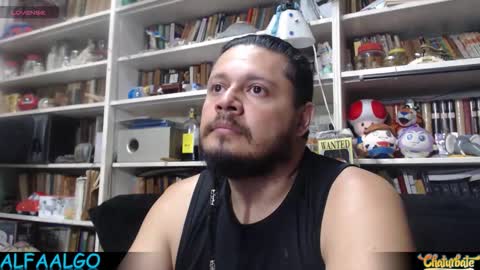 Alfa online show from 02.24.26