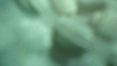 ali_asianguyuk online show from 12.01.25