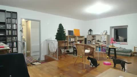 Snapshot of alice8363 chatting on 12.06.24 Alice online show from 12.06.24