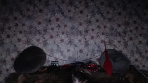 Snapshot of alice_longstocking chatting on 02.07.26 alice longstocking online show from 02.07.26