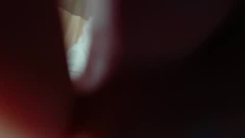 Snapshot of alice_peach chatting on 11.08.25 bigclit daddy squirt bigdildo fit online show from 11.08.25