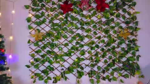 alice_rous21 online show from 11.12.25