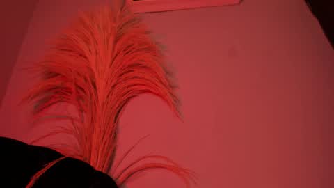 Snapshot of alicepoixxxon chatting on 10.25.25 ALICE online show from 10.25.25