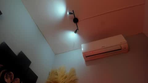 ALICE  online show from 11.15.25