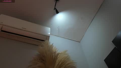 ALICE  online show from 11.25.25