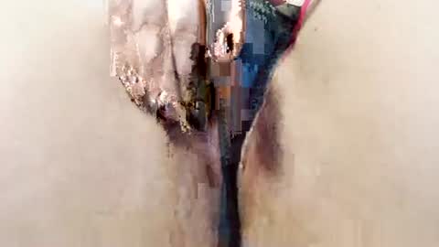 alisesexydoll777 online show from 01.13.26