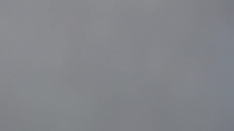 Snapshot of aliuno12345678 chatting on 12.29.24 aliuno12345678 online show from 12.29.24