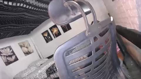 trina online show from 12.16.25