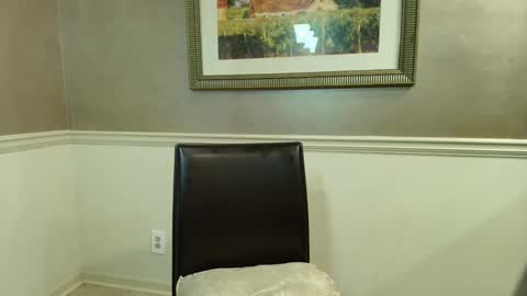 wishlist on bio online show from 03.23.26