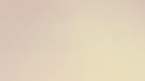    online show from 12.01.25