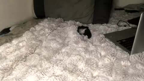 allthewayup10 online show from 03.02.25