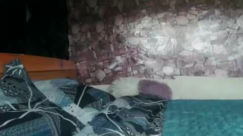 Almah online show from 03.31.26