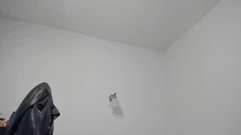 Snapshot of alphagodleatherking92 chatting on 12.24.24 LeatherMaster online show from 12.24.24