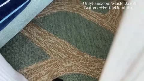 Snapshot of alphamasterjax chatting on 10.27.25 MasterJax69 online show from 10.27.25