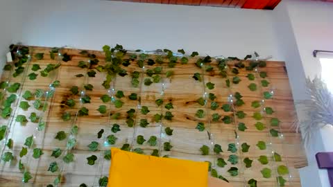 alyssia online show from 02.18.25