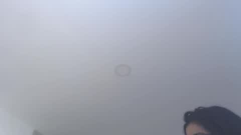 valentia online show from 12.01.25