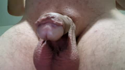 amadeusz online show from 01.12.25