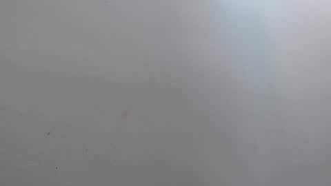 Amaranta online show from 04.04.26