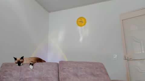 Snapshot of amatiistur chatting on 02.15.25 Tammy online show from 02.15.25