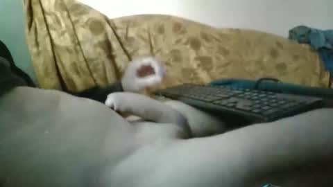 amazingcuteboy845 online show from 09.29.25