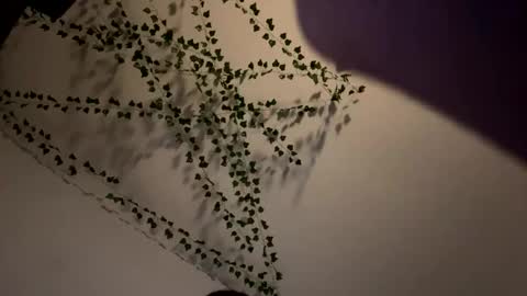 Snapshot of amberispurple chatting on 12.08.24 AmberIsPurple online show from 12.08.24