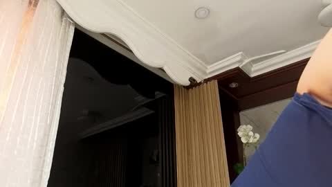   online show from 01.31.26