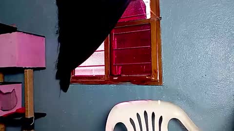 Snapshot of ameli_and_lucas chatting on 11.17.25 Amelia Lucas online show from 11.17.25