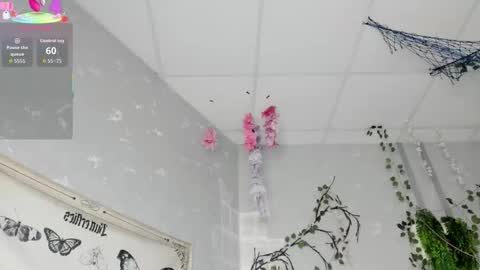 Ameli online show from 02.14.26