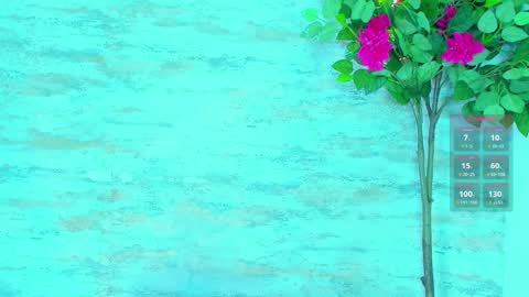  AMELIA.  online show from 03.14.26