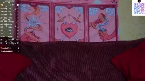 Snapshot of ameliadomke chatting on 03.11.26 Amelia online show from 03.11.26