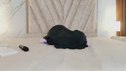 Snapshot of ameliie_saenz chatting on 04.29.26 Ameli online show from 04.29.26