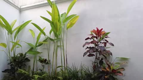 Snapshot of amyalwayshere chatting on 03.02.25 girl next door named Amy online show from 03.02.25