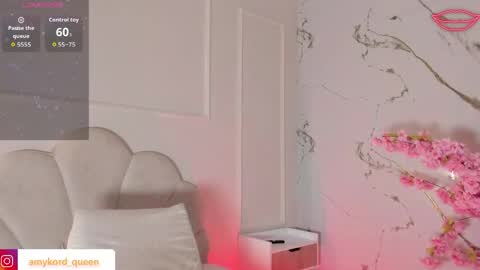 Amykord online show from 04.17.26