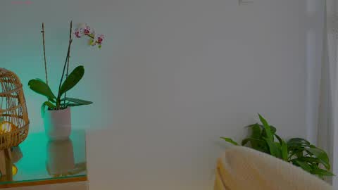 anabelcurvy online show from 05.24.26