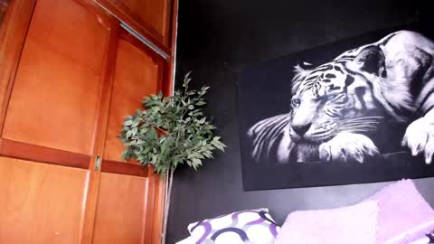 Anahi online show from 12.22.24