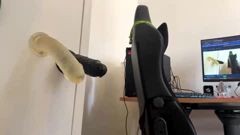 Snapshot of analass_ chatting on 09.20.25 analass_ online show from 09.20.25