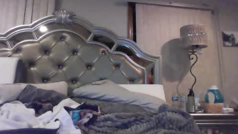 anastasiasteele67 online show from 06.25.26