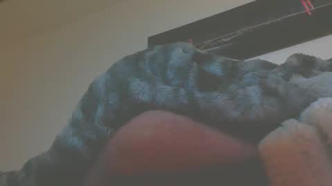 andreas online show from 03.05.26