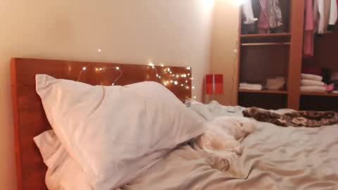 Snapshot of andrasweetie chatting on 12.24.24 Andra online show from 12.24.24