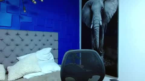 Snapshot of andre_parker chatting on 03.01.25 Andre Parker online show from 03.01.25