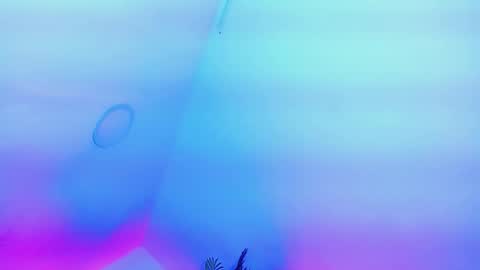 ANDREINA online show from 02.13.26