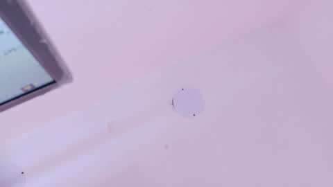 A n d r  e a S w e e t  online show from 03.18.26